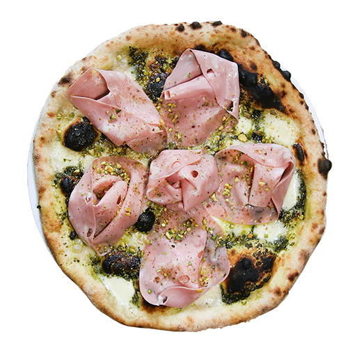 Bolonia